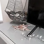Appartement Shells & Pearls 4 Pax Near With Balcony *